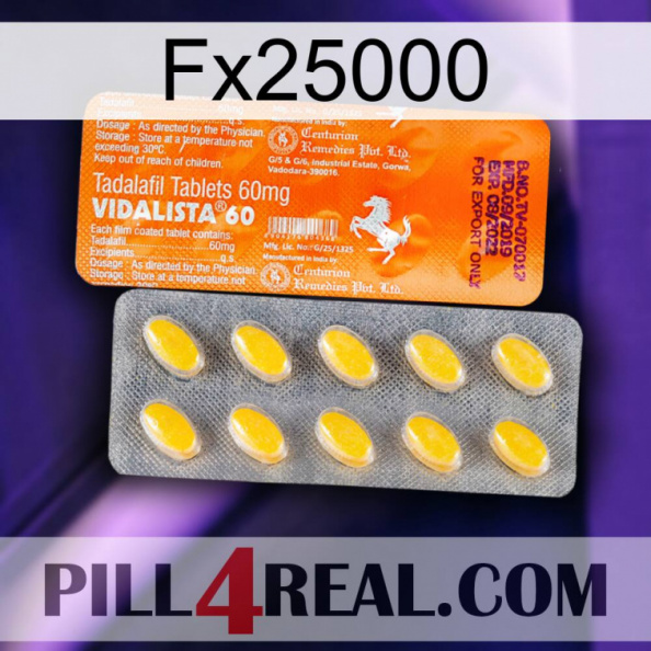 Fx25000 new05.jpg